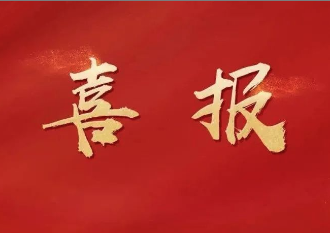 公司喜讯 | 万向娱乐公司党支部荣获轻工集团建制企业2022年度“星耀轻工”评星定级“五星党支部”称号